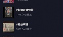 性视频软件,引领新时代娱乐体验的先锋之作